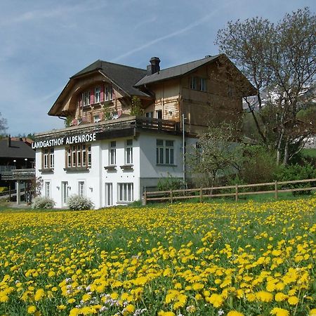 Hotel Alpenrose Beim Ballenberg Hofstetten bei Brienz Екстер'єр фото