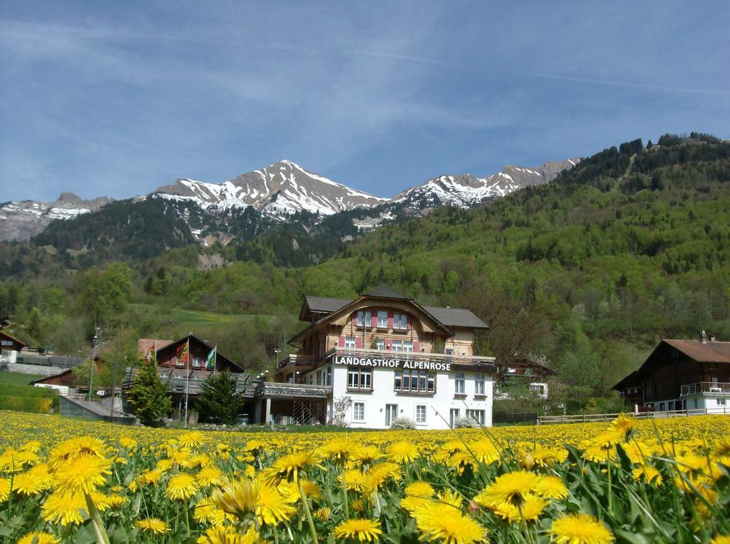 Hotel Alpenrose Beim Ballenberg Hofstetten bei Brienz Екстер'єр фото