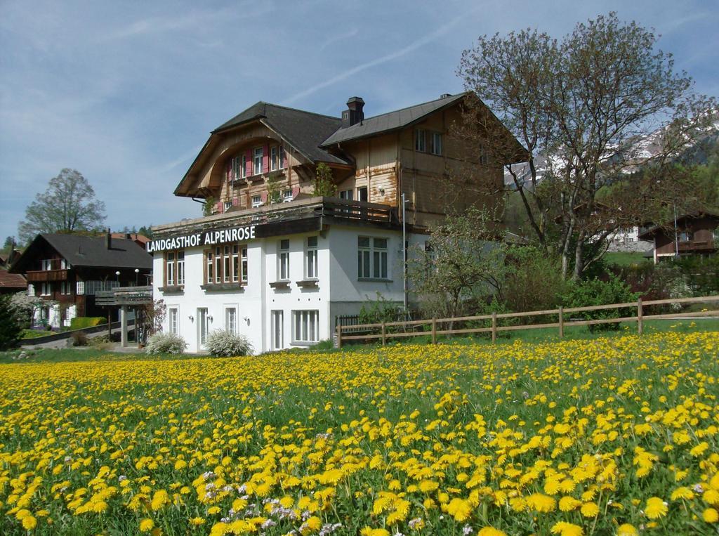 Hotel Alpenrose Beim Ballenberg Hofstetten bei Brienz Екстер'єр фото